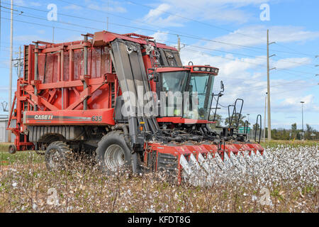 Case IH-Modul Express 635 Mähdrescher, Baumwollpflücker Kommissionierung Baumwolle in kürzeren, Alabama USA. Stockfoto