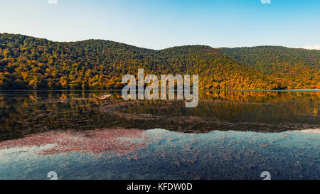 Reflexionen von Herbst Wald im See Stockfoto