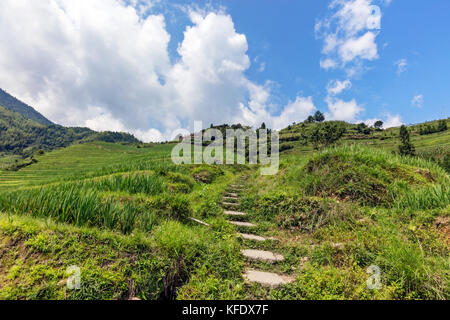 Stock Foto - longji terraces Reisfeldern in der Nähe von Guilin, guangxi - China Stockfoto