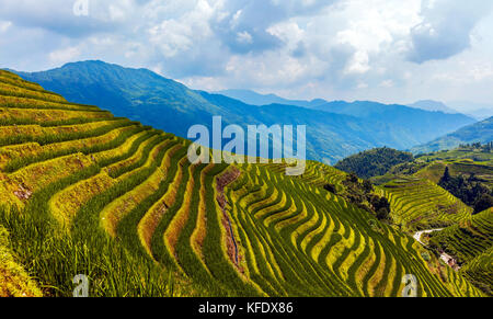 Stock Foto - longji terraces Reisfeldern in der Nähe von Guilin, guangxi - China Stockfoto