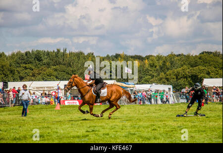 Reitsport in Cheshire und auf der Country Fair Tabley Showground Cheshire UK Stockfoto