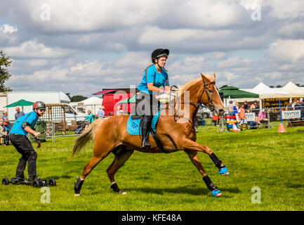 Reitsport in Cheshire und auf der Country Fair Tabley Showground Cheshire UK Stockfoto