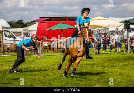 Reitsport in Cheshire und auf der Country Fair Tabley Showground Cheshire UK Stockfoto