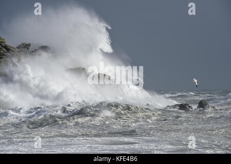 Stürmische See - Hurrikan Ophelia, Isles of Scilly Stockfoto