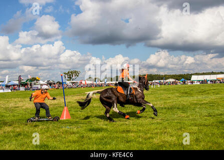 Reitsport in Cheshire und auf der Country Fair Tabley Showground Cheshire UK Stockfoto