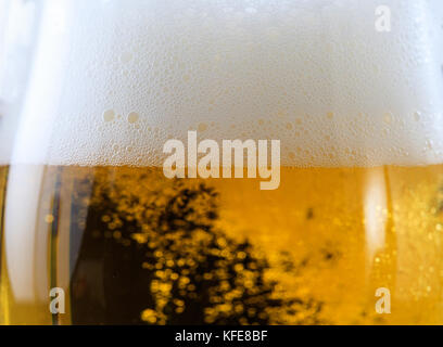 Ein Glas Pilsener detail. closeup auf das Bier Schaum und Blasen Stockfoto