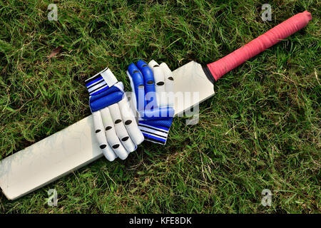 Cricket Handschuhe und Schläger auf grünem Gras Stockfoto