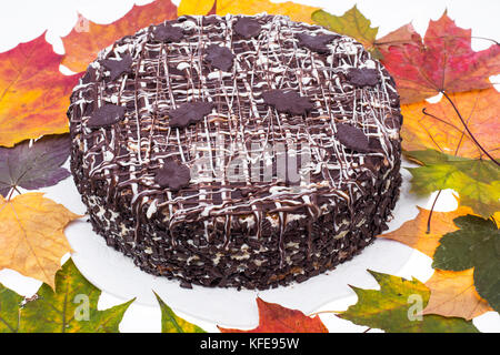 Hausgemachte Schokolade Torte auf dem Hintergrund der bunten Herbst Ahorn Blätter Stockfoto