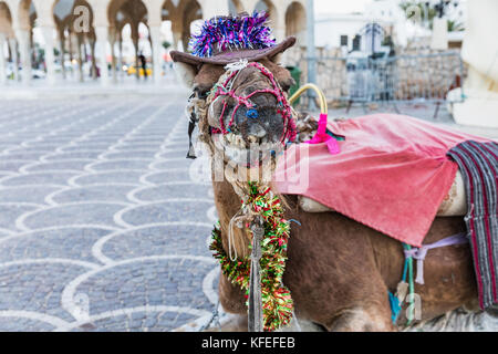 Kamel mit Ornamenten auf seinem Kopf auf dem Platz von Habib Bourguiba mit schattigen arabisch Pavillon und mittelalterliche Festung ribat in Monastir. Tunesien Stockfoto