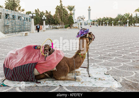 Kamel mit Ornamenten auf seinem Kopf auf dem Platz von Habib Bourguiba mit schattigen arabisch Pavillon und mittelalterliche Festung ribat in Monastir. Tunesien Stockfoto