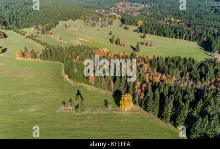 Luftaufnahme auf chalupska Moor im Herbst, Nationalpark Sumava, tschechische Republik. Stockfoto