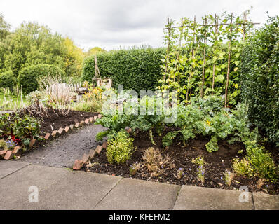 Ein Gemüsegarten im Stil der 1950er Jahre im Black Country Museum. Oktober 2017 Stockfoto