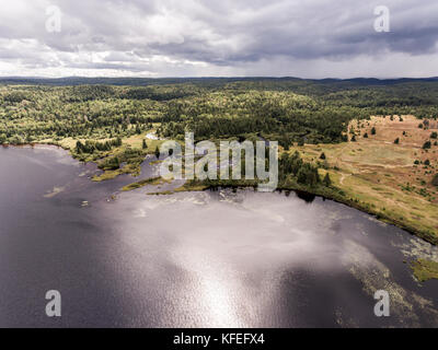 Ontario Kanada contryside Natur Luftbild Blick von oben nach unten von einem Fluss in See Stockfoto