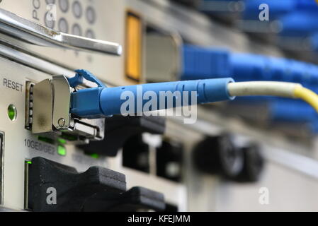 Lwl Patchkabel auf passive Leitung angeschlossen, Informationstechnologie im Internet der Dinge Geräte Stockfoto