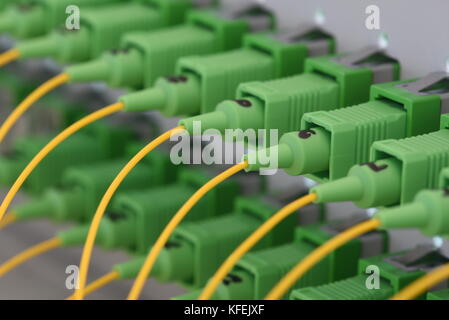 Optical Distribution Panels mit LWL-Kabel am passiven optischen Netzwerk Stockfoto