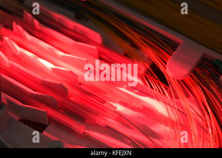 Spleißen der Fasern auf Spice Fach mit rotem Laserlicht, Nahaufnahme Stockfoto