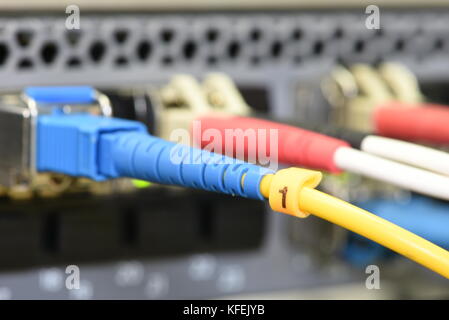 Lwl-Patchkabel mit gbic-an den Switch angeschlossen, Informationstechnologie, Nahaufnahme Stockfoto