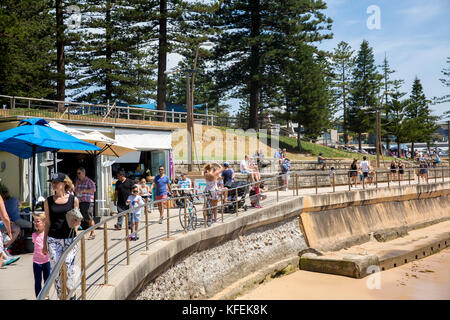 Cafe an Dee Why Strand ist ein Vorort von Sydney Northern Beaches, Sydney, Australien Stockfoto