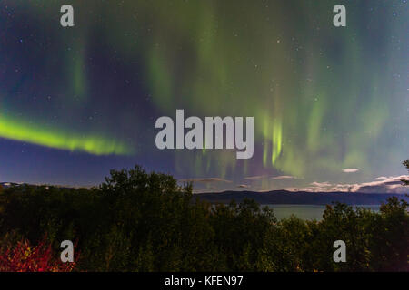 Nordlicht, Aurora borealis über Björkliden und Torneträsk in Kiruna County, Schwedisch Lappland, Schweden Stockfoto