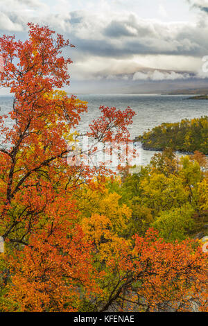 Blick von Björkliden über Abisko mit See Torneträsk im Herbst, Wolken hängen über den Bergen, Abisko, Kiruna County, Schwedisch Lappland, SWE Stockfoto