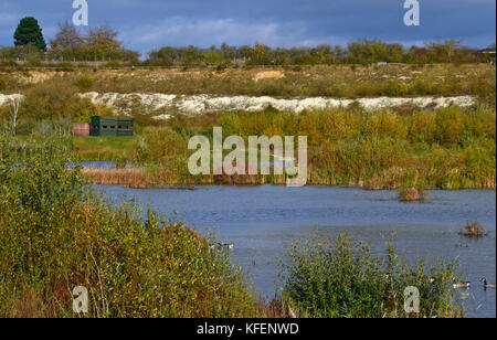 Kanada Gänse im Herbst am College Lake Nature Reserve, Buckinghamshire, Großbritannien Stockfoto