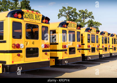 Sauber gelben Schulbusse bereit für den ersten Tag der Klassen Stockfoto