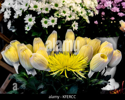 Bunte Blumen auf dem Friedhof um die Blume Ständen auf das Fest Allerheiligen Stockfoto