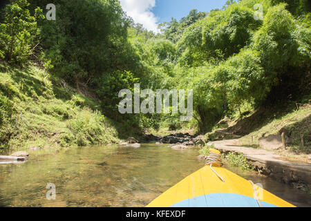 Suva, Viti Levu, Fidschi - November 28,2016: persönliche Perspektive der Kanusport in navua river Einlass in der üppigen, tropischen Regenwald in Suva, Fidschi Stockfoto