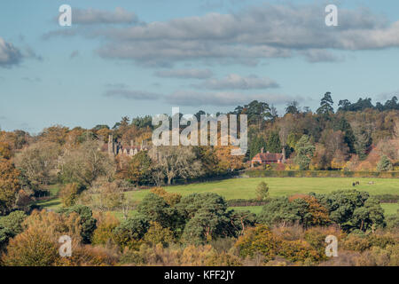 Landschaft, Ashdown Forest, Sussex, UK auf hellen Herbst Tag Stockfoto