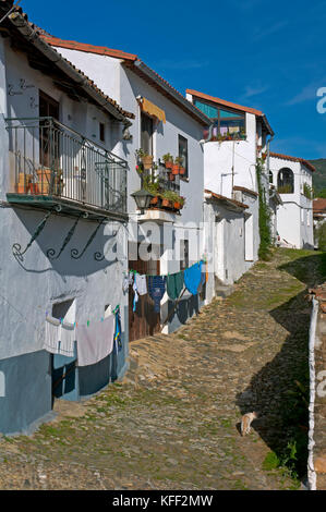 Typische Gasse mit Kopfsteinpflaster und Kleidung eher trocken, Linares de la Sierra, Provinz Huelva, Andalusien, Spanien, Europa Stockfoto