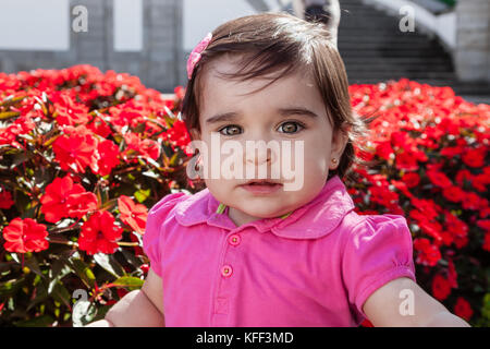 Niedlich, hübsch, fröhlich, chubby lächelnd Kleinkind einen selfie von sich selbst in einem Garten von roten Blumen. vierzehn Monate alt/baby girl selfie Mobiltelefon Stockfoto