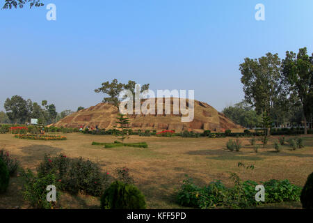 Gokul medh einer ausgegrabenen Hügel im Dorf gokul unter bogra Sadar upazila, etwa 2 km südwestlich von mahasthangarh Zitadelle. Es ist im Volksmund wissen Stockfoto