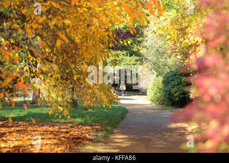 Sheffield Park, East Sussex, Großbritannien. 27. Oktober 2017. Wenn die Herbstsonne scheint, wird im Sheffield Park in East Sussex die spektakuläre Farbenpracht zum Leben erweckt. Jedes Jahr zieht die jährlich in den Spiegelseen spiegelnde Farbgebung Tausende von Besuchern an. Kredit: Nigel Bowles/Alamy Live Nachrichten Stockfoto