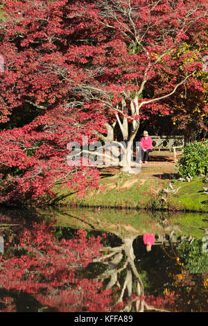 Sheffield Park, East Sussex, Großbritannien. 27. Oktober 2017. Wenn die Herbstsonne scheint, wird im Sheffield Park in East Sussex die spektakuläre Farbenpracht zum Leben erweckt. Jedes Jahr zieht die jährlich in den Spiegelseen spiegelnde Farbgebung Tausende von Besuchern an. Kredit: Nigel Bowles/Alamy Live Nachrichten Stockfoto