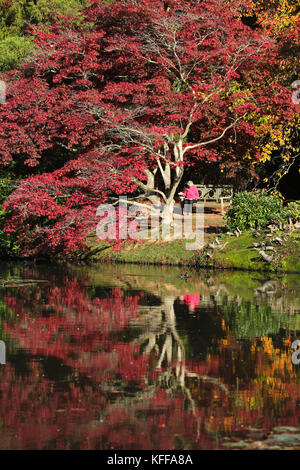 Sheffield Park, East Sussex, Großbritannien. 27. Oktober 2017. Wenn die Herbstsonne scheint, wird im Sheffield Park in East Sussex die spektakuläre Farbenpracht zum Leben erweckt. Jedes Jahr zieht die jährlich in den Spiegelseen spiegelnde Farbgebung Tausende von Besuchern an. Kredit: Nigel Bowles/Alamy Live Nachrichten Stockfoto