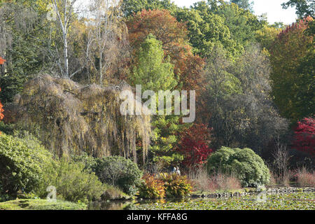 Sheffield Park, East Sussex, Großbritannien. 27. Oktober 2017. Wenn die Herbstsonne scheint, wird im Sheffield Park in East Sussex die spektakuläre Farbenpracht zum Leben erweckt. Jedes Jahr zieht die jährlich in den Spiegelseen spiegelnde Farbgebung Tausende von Besuchern an. Kredit: Nigel Bowles/Alamy Live Nachrichten Stockfoto