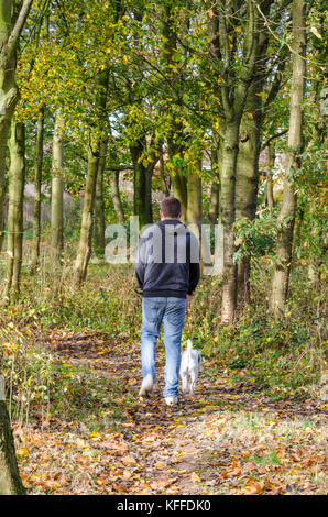 Ein Mann, der seinen Hund durch einen Wald im Herbst, Stockfoto