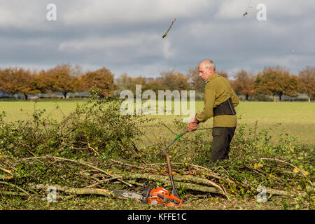 Stourhead, Wiltshire, Großbritannien. Oktober 2017. Teilnehmer beim 39. Nationalen Hedge Legewettbewerb in Stourhead, Wiltshire am 28. Oktober 2017 Credit: NJphoto/Alamy Live News Stockfoto