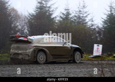 Dyfi, Wales, UK. 28 Okt, 2017. Teams von Herstellern und privaten Teams konkurrieren auf dem 2017 Dayinsure Wales Rally GB. Quelle: Uwe Deffner/Alamy leben Nachrichten Stockfoto