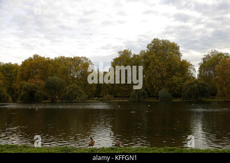 Westminster, London, Großbritannien. 28. Oktober 2017. Der Herbst Tag im St. James Park Credit: dinendra Haria/alamy leben Nachrichten Stockfoto