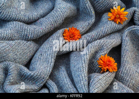 Hintergrund der gestrickt grau Bettwäsche von Ziegenmilch Wolle mit Stricknadeln oder auf eine Strickmaschine in Wellen gelegt mit orange chrysanthemum Flower. Stockfoto