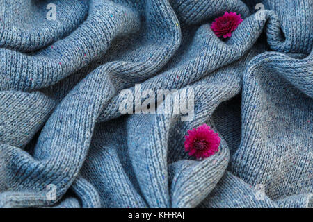 Hintergrund der gestrickt grau Bettwäsche von Ziegenmilch Wolle mit Stricknadeln oder auf eine Strickmaschine in großen Wellen mit rote Chrysantheme Blume gelegt. Stockfoto