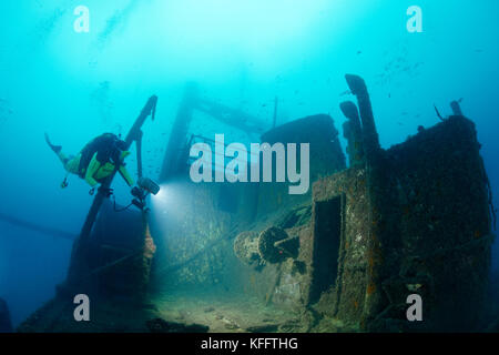 Wrack peltastis und Scuba Diver, Adria, Mittelmeer, Krk, Kvarner Bucht oder die Bucht, Kroatien Stockfoto