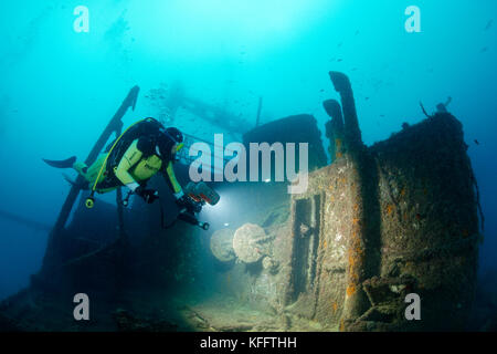 Wrack peltastis und Scuba Diver, Adria, Mittelmeer, Krk, Kvarner Bucht oder die Bucht, Kroatien Stockfoto