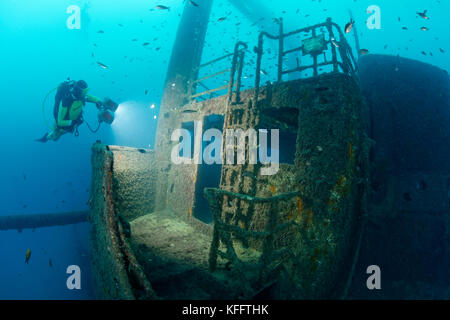 Wrack peltastis und Scuba Diver, Adria, Mittelmeer, Krk, Kvarner Bucht oder die Bucht, Kroatien Stockfoto