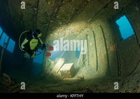 Wrack peltastis und Scuba Diver, Adria, Mittelmeer, Krk, Kvarner Bucht oder die Bucht, Kroatien Stockfoto