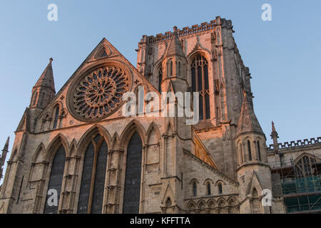 Goldene Abendsonne leuchtet runder Rosette und hohen zentralen Turm Münster von York, gegen den blauen Himmel - North Yorkshire, England, UK. Stockfoto