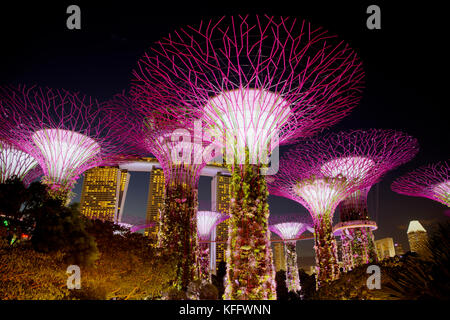 Supertrees Nachts beleuchtet Marina Bay Gardens Singapore TV 000510 Stockfoto