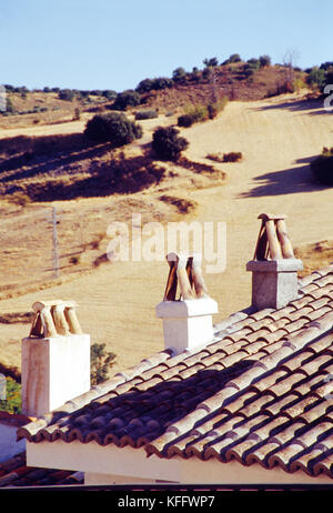 Drei Schornsteine auf dem Dach und der Landschaft. Olmeda de Las Fuentes, Provinz Madrid, Spanien. Stockfoto