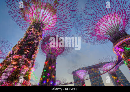 Supertrees bei Dämmerung Marina Bay Gardens Singapore TV 000542 Stockfoto